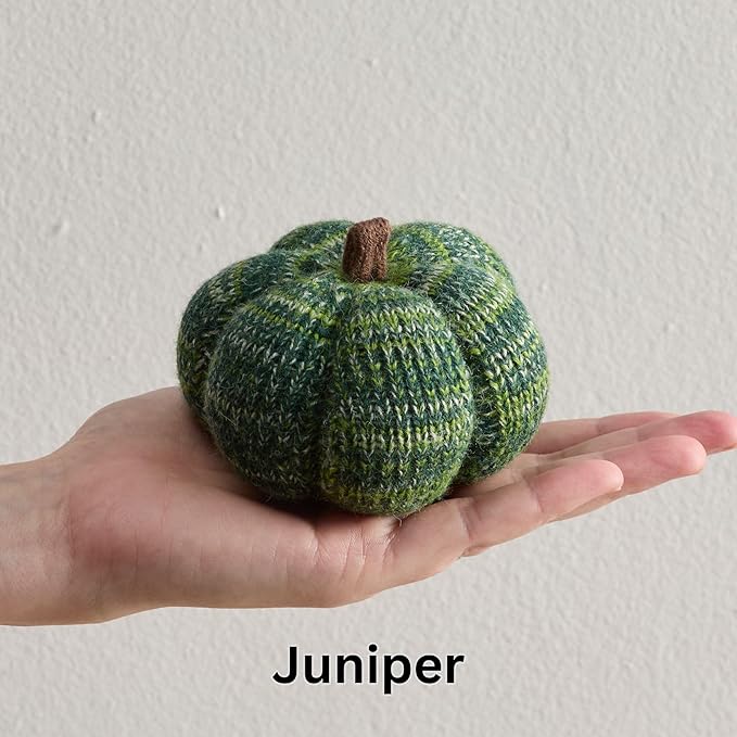 Your Heart's Content Set of 3 Cozy Mini Knit Pumpkins, Autumn Table Home décor, Fall Seasonal Gift idea, Green Accent Kitchen Decor (Juniper Multi-Size Set)