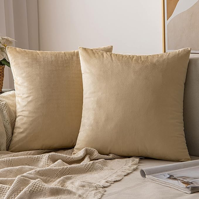 MIULEE Pack of 2 Velvet Soft Solid Decorative Square Throw Pillow Covers Set Cushion Case for Spring Sofa Bedroom Couch 16x16 Inch Beige