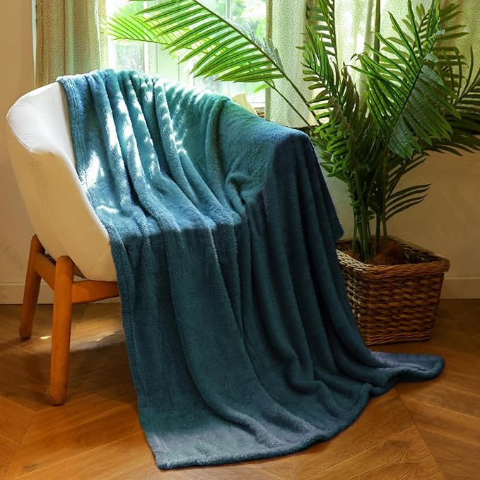 Plush Fleece Throw Blanket for Couch and Bed, Fluffy Fuzzy Cozy Queen-Size Soft Blankets All Season Use (60x80 Inches,Teal)