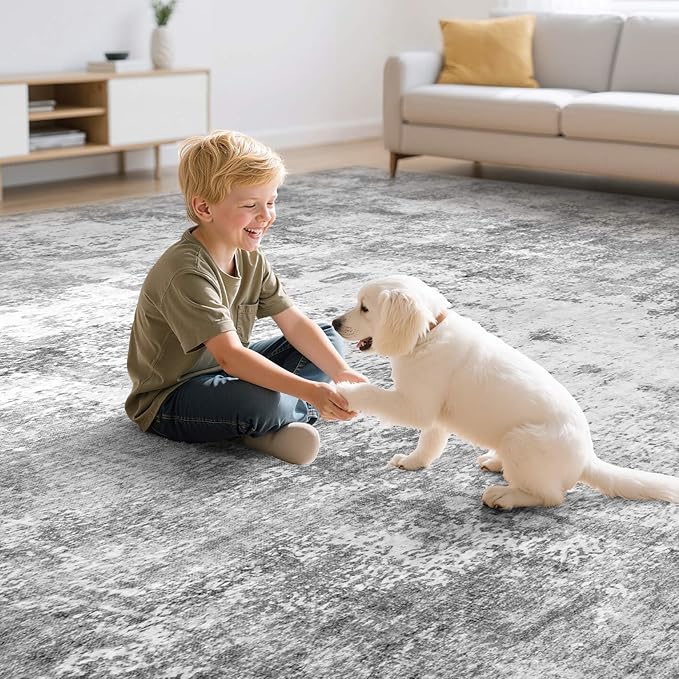 Washable 6X9 Area Rug: Modern Abstract Soft Non-Slip Indoor Rugs Home Decor - Low Pile Stain Resistant Carpet for Living Room Bedroom Dining Room Playroom Office(Grey,6'X9')