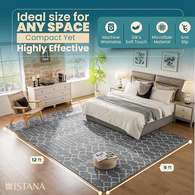Istana 9x12 Area Rug - Dark Grey 9 x 12 Area Rugs for Living Room - Foldable 9x12 Rugs for Bedroom/Living Room Rug - Stain Resistant Washable Rugs - Eco-Friendly Area Rugs