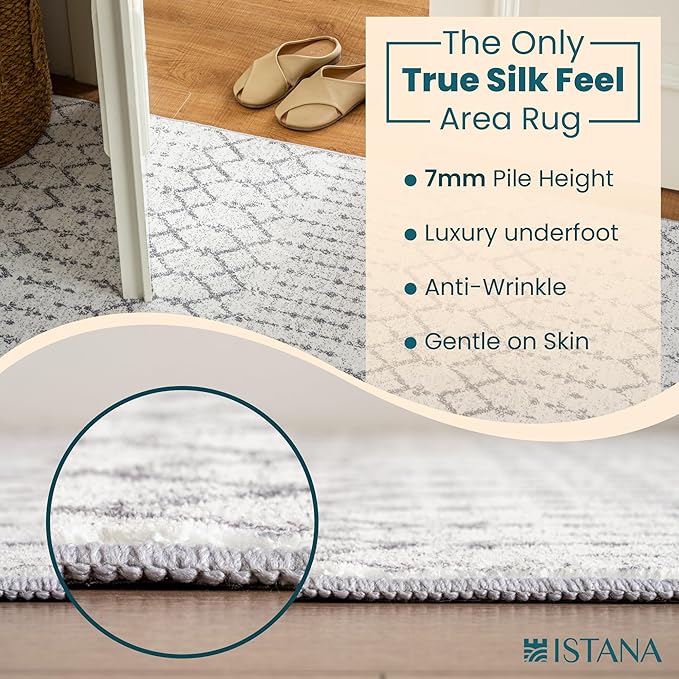 Istana 2x3 Area Rug - Grey Boho Rugs for Living Room 2x3 - Foldable Small Rugs for Bedroom - Stain Resistant Washable Rug Non Slip - Eco-Friendly Area Rugs Indoor - Easy to Clean Rug
