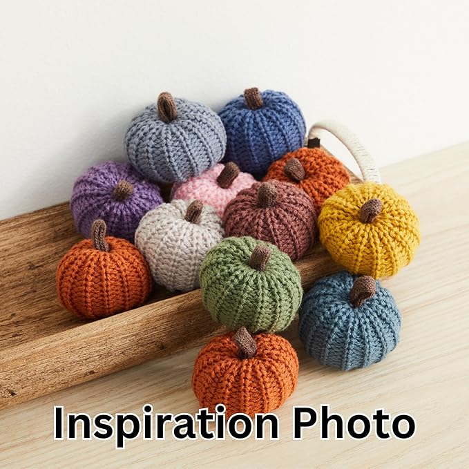 Your Heart's Content MINI Knit Pumpkins Set of 5, Fall Favorite, Gifts for Women, Autumn Bowl fillers Fall Farmhouse Tier Tray Decor, Decorative Pumpkins for Friend (Autumn Set)