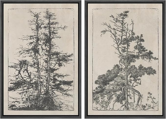 SIGNWIN Framed Canvas Print Wall Art Set Vintage Botanical Tree Sketches Illustrations Modern Art Minimal Boho Relax/Calm for Living Room, Bedroom, Office - 16"x24"x2 Black