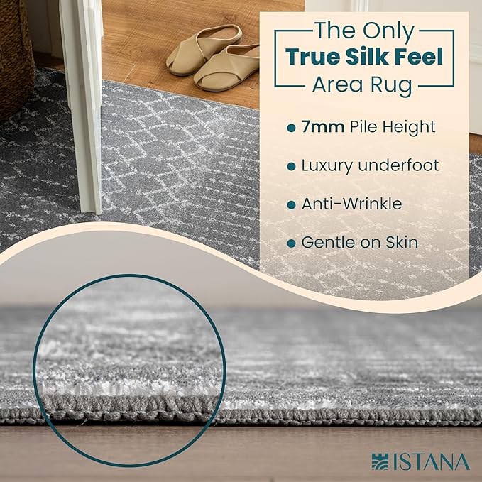 Istana 6x9 Area Rug - Dark Grey Rugs for Living Room 6x9 - Foldable Boho Rugs for Bedroom - Stain Resistant Washable Rug - Eco-Friendly Area Rugs - Easy to Clean Living Room Rug