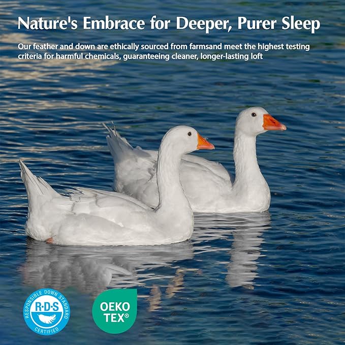 Pacific Coast Twin Comforter Filled with White Goose Down Bed Comforter, Fluffy All Season Luxury Hotel White Duvet Insert with 8 Loops, 60"x90"