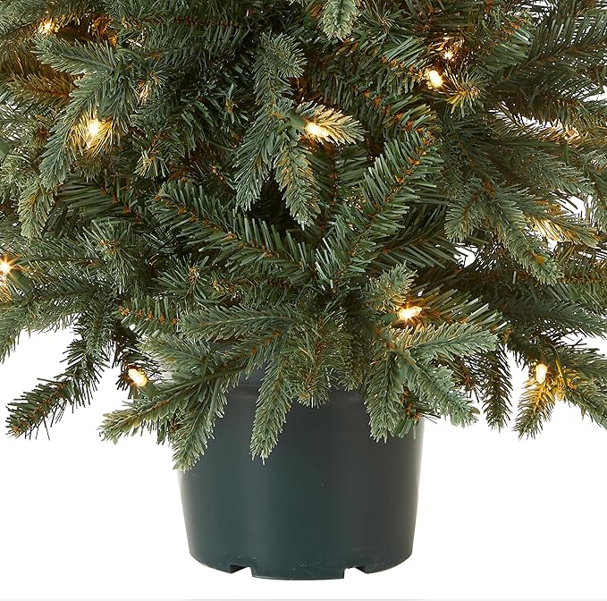 National Tree Company Artificial Christmas Tree For Entrances | Includes White Lights and Pot | Everyday Collections - 3 ft