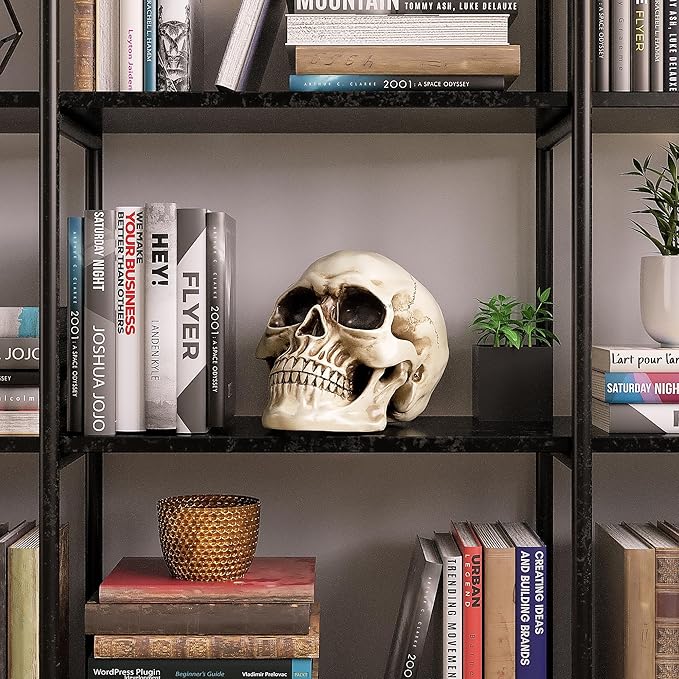 READAEER Resin Skull, Human Head Model for Home Decoration, Halloween Statue, Skull Model for Bookshelf and Desktop (White)