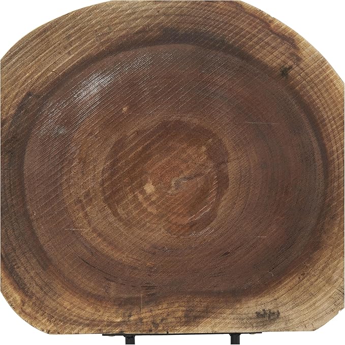 Deco 79 Wood Tree Handmade Decorative Sculpture Circular Slab Home Decor Statue with Black Metal Base, Accent Figurine 21" x 4" x 23", Brown