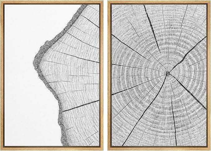 SIGNWIN Framed Canvas Print Wall Art Set Wood Grain Cross Section Minimalist Tree Ring Line Zen Bohemian for Living Room, Bedroom, Office - 16"x24"x2 NATURAL