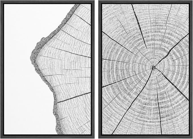 SIGNWIN Framed Canvas Print Wall Art Set Wood Grain Cross Section Minimalist Tree Ring Line Zen Bohemian for Living Room, Bedroom, Office - 16"x24"x2 BLACK