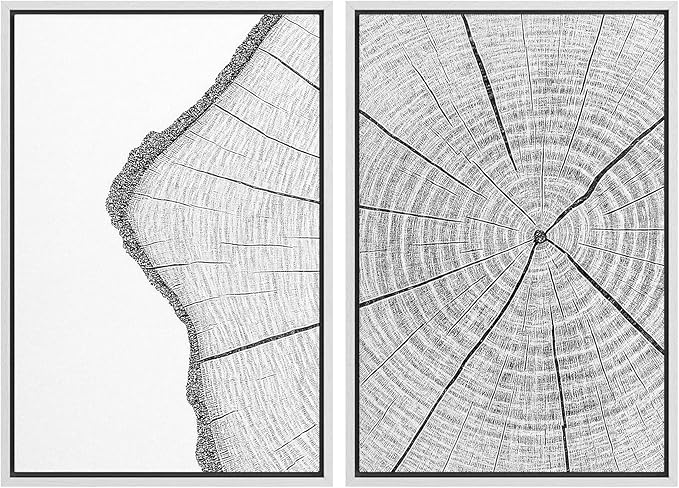 SIGNWIN Framed Canvas Print Wall Art Set Wood Grain Cross Section Minimalist Tree Ring Line Zen Bohemian for Living Room, Bedroom, Office - 24"x36"x2 WHITE