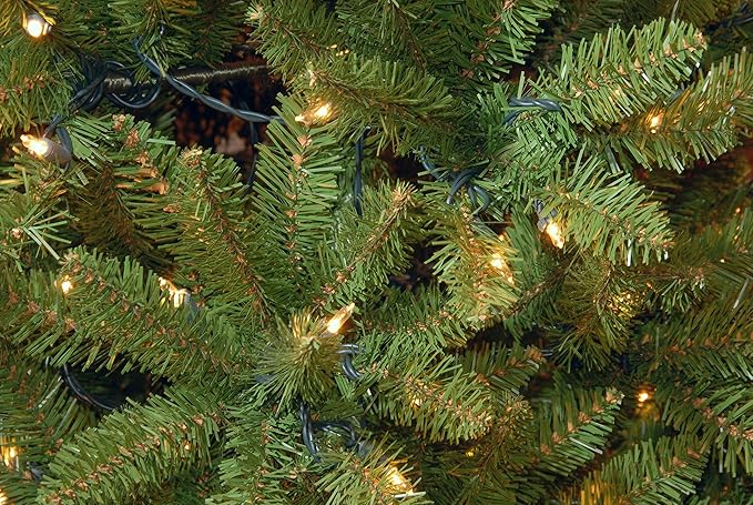 National Tree Company 6.5 ft Pre-Lit Downswept Douglas Fir Artificial Christmas Tree, 650 Clear Lights, 1,227 Tips, Includes Stand, Green